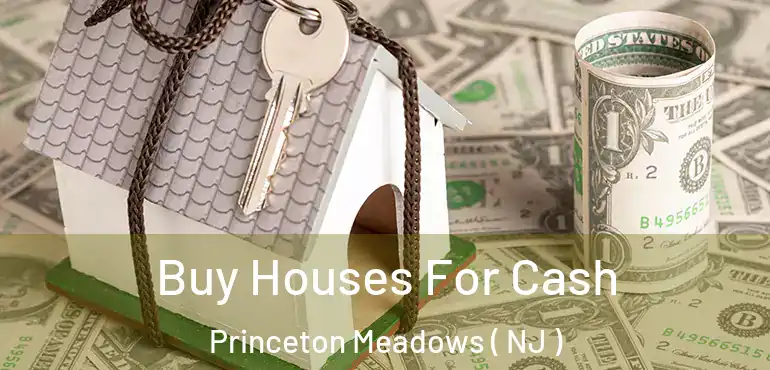  Buy Houses For Cash Princeton Meadows ( NJ )