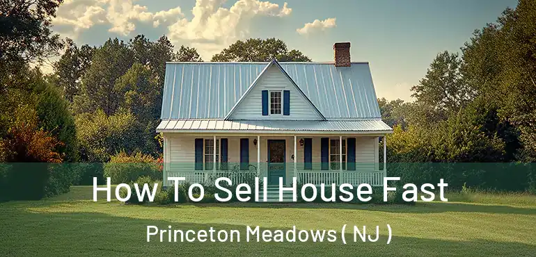  How To Sell House Fast Princeton Meadows ( NJ )