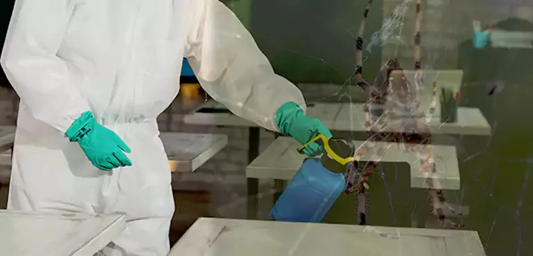 Why Buyers Still Want Homes With Pest Infestations in Dunellen, NJ?