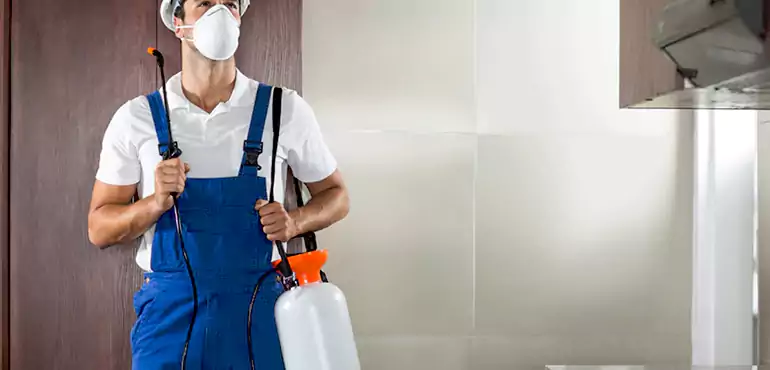 Why Dunellen Homeowners Choose Us When Pests Make Selling Difficult