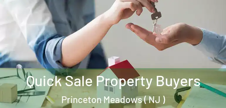  Quick Sale Property Buyers Princeton Meadows ( NJ )