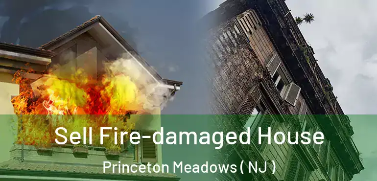  Sell Fire-damaged House Princeton Meadows ( NJ )