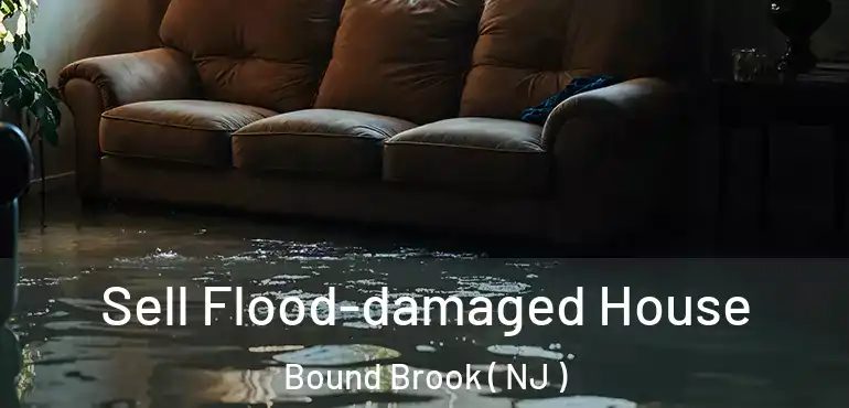  Sell Flood-damaged House Bound Brook ( NJ )