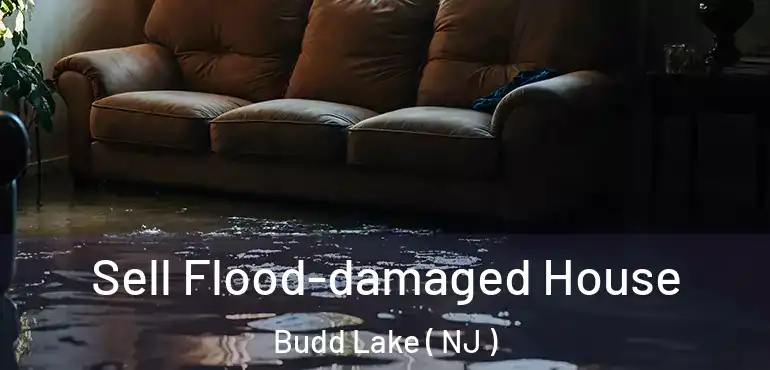  Sell Flood-damaged House Budd Lake ( NJ )