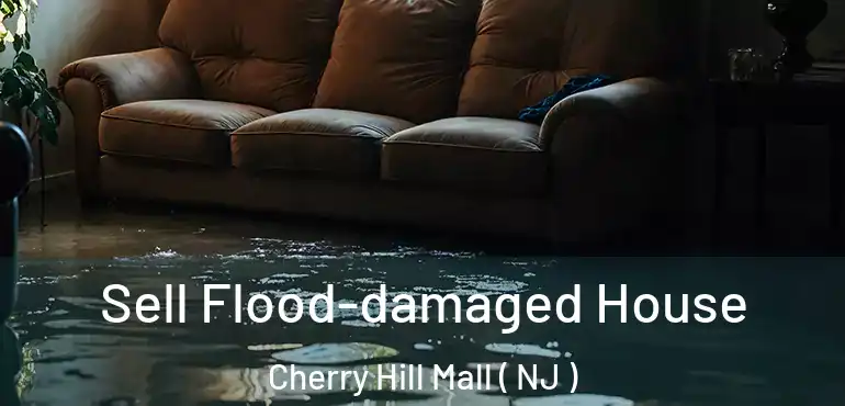  Sell Flood-damaged House Cherry Hill Mall ( NJ )