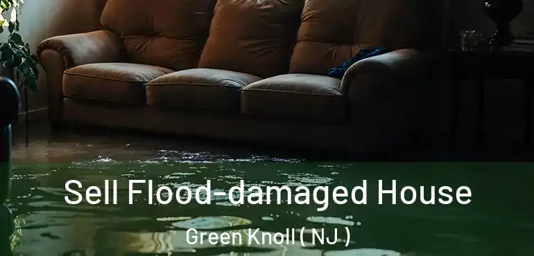  Sell Flood-damaged House Green Knoll ( NJ )