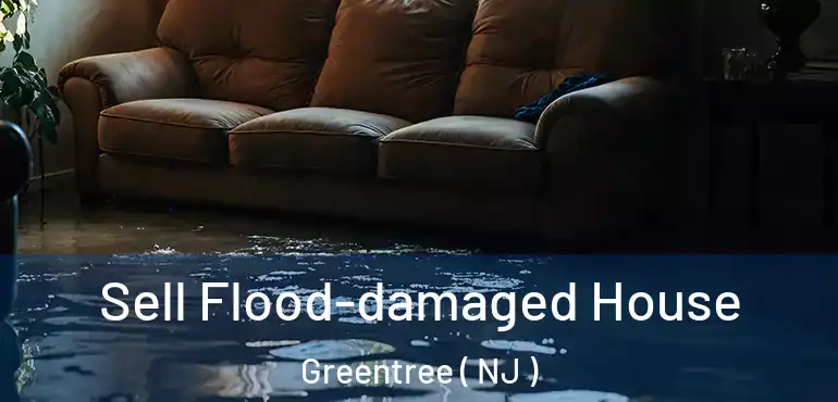  Sell Flood-damaged House Greentree ( NJ )