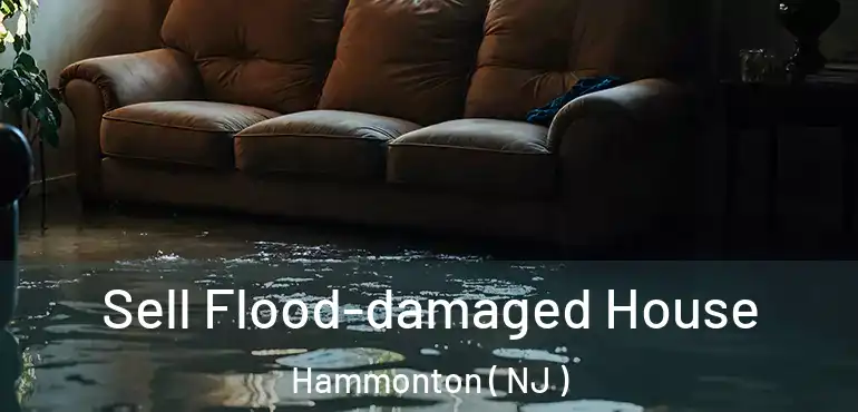  Sell Flood-damaged House Hammonton ( NJ )
