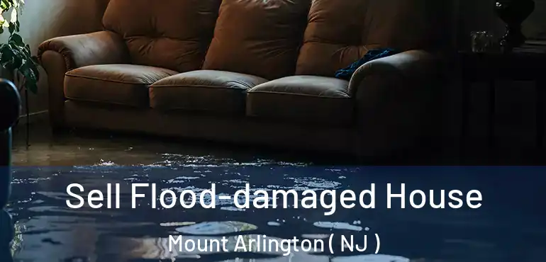  Sell Flood-damaged House Mount Arlington ( NJ )