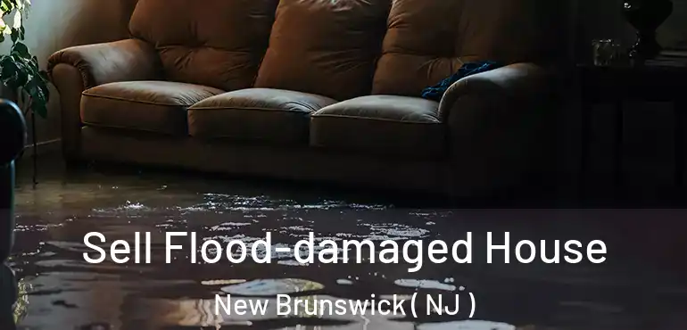  Sell Flood-damaged House New Brunswick ( NJ )