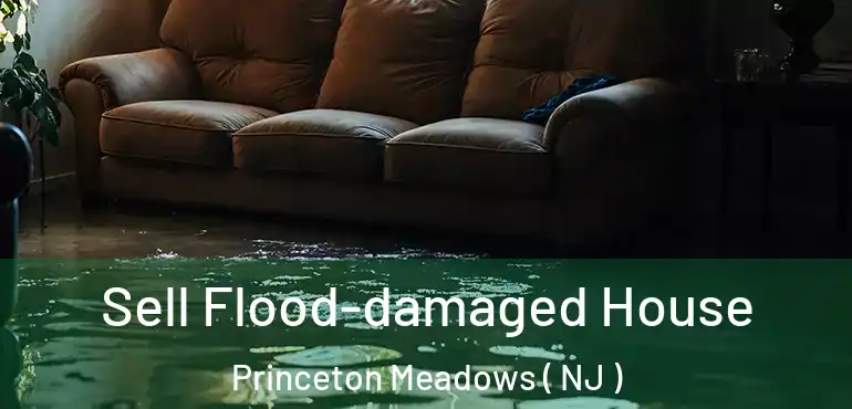 Sell Flood-damaged House Princeton Meadows ( NJ )