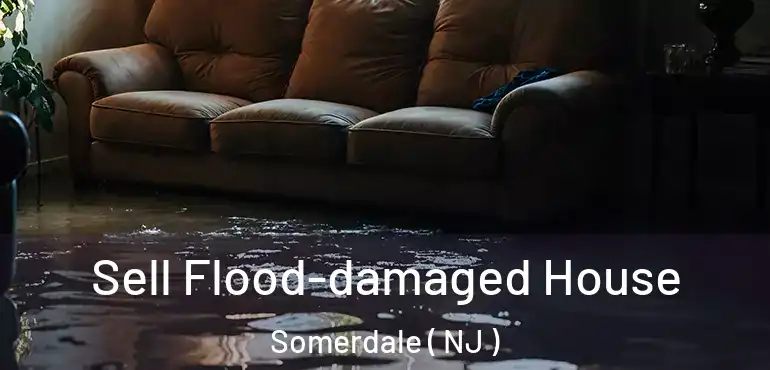 Sell Flood-damaged House Somerdale ( NJ )