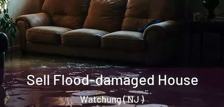  Sell Flood-damaged House Watchung ( NJ )