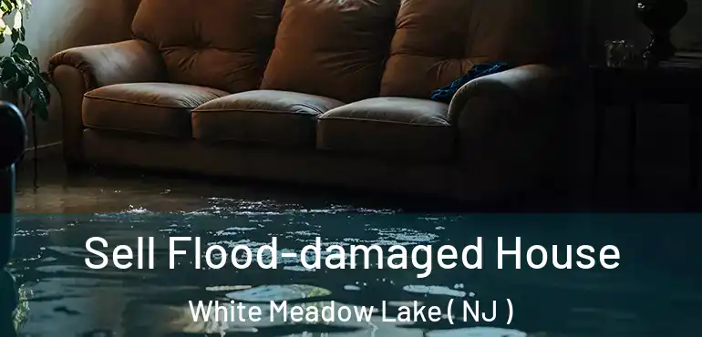 Sell Flood-damaged House White Meadow Lake ( NJ )