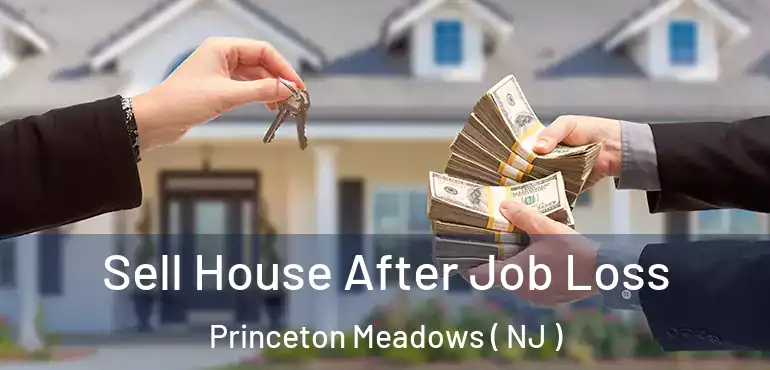  Sell House After Job Loss Princeton Meadows ( NJ )