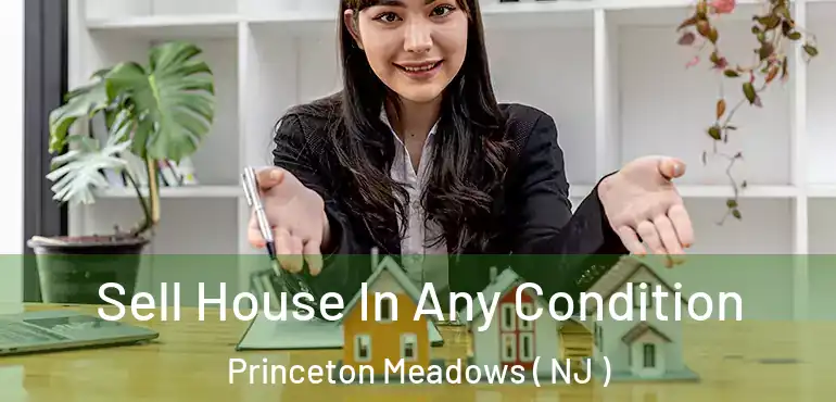  Sell House In Any Condition Princeton Meadows ( NJ )