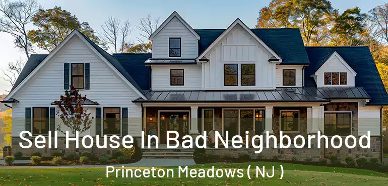  Sell House In Bad Neighborhood Princeton Meadows ( NJ )