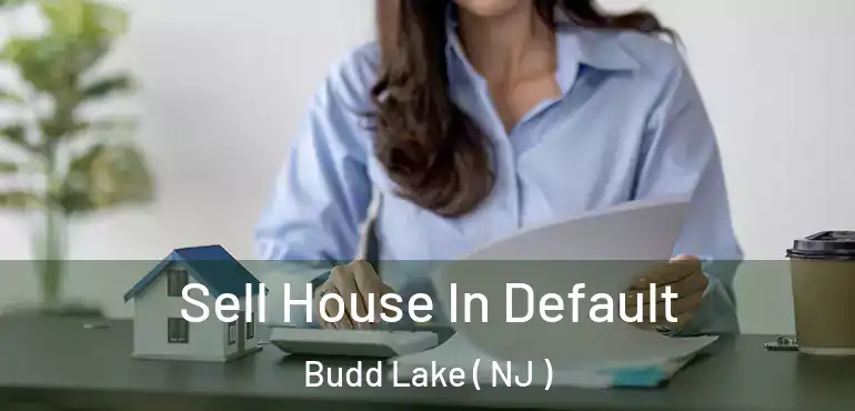  Sell House In Default Budd Lake ( NJ )