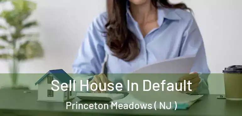  Sell House In Default Princeton Meadows ( NJ )