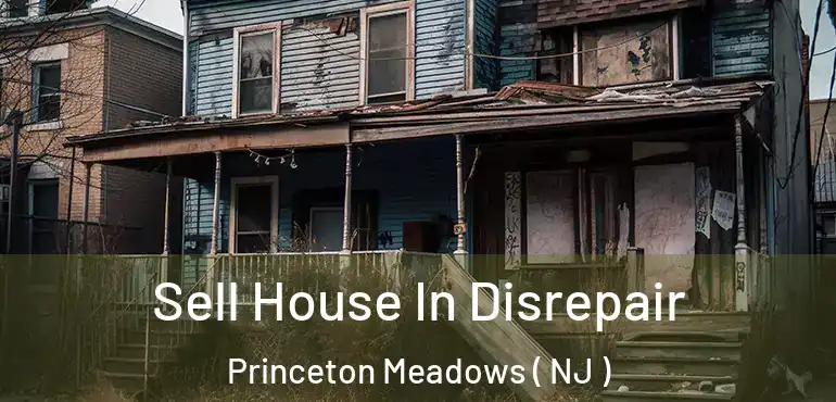  Sell House In Disrepair Princeton Meadows ( NJ )