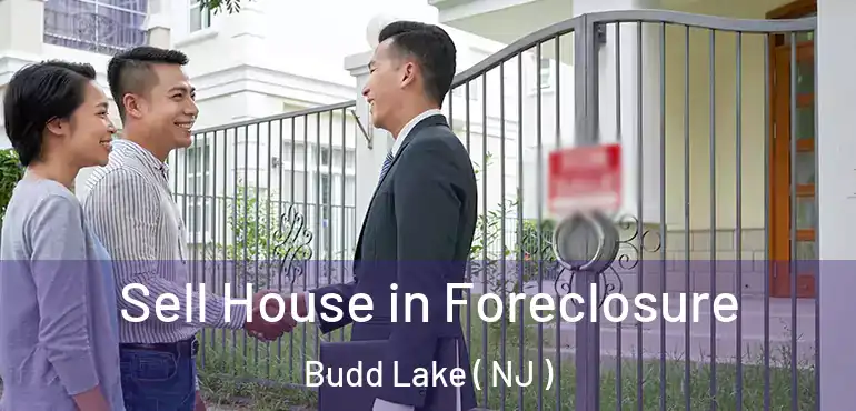  Sell House in Foreclosure Budd Lake ( NJ )