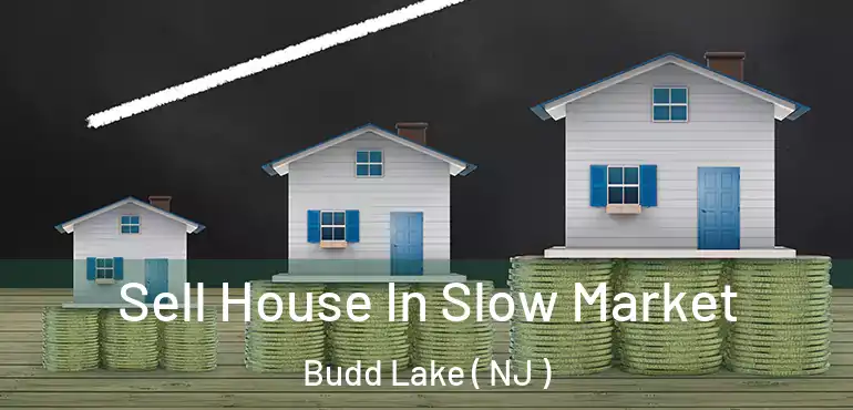  Sell House In Slow Market Budd Lake ( NJ )