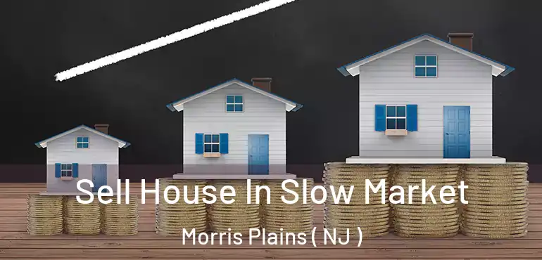  Sell House In Slow Market Morris Plains ( NJ )