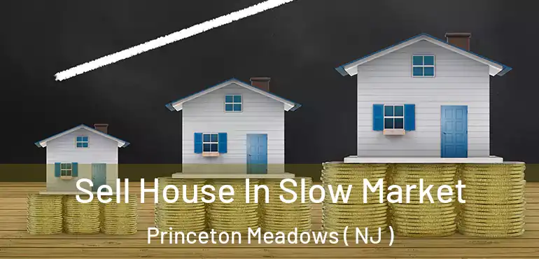  Sell House In Slow Market Princeton Meadows ( NJ )