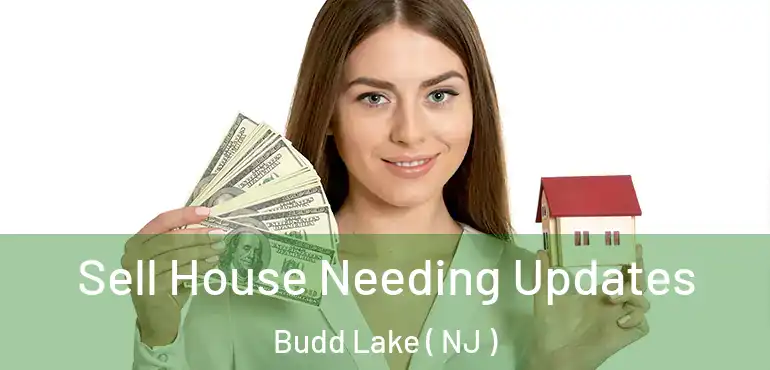  Sell House Needing Updates Budd Lake ( NJ )