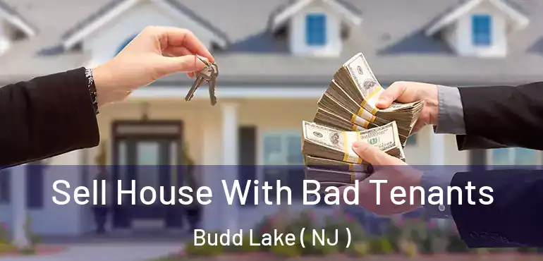  Sell House With Bad Tenants Budd Lake ( NJ )
