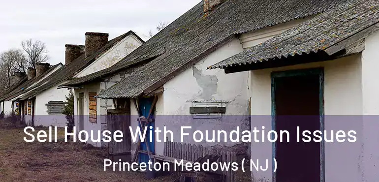  Sell House With Foundation Issues Princeton Meadows ( NJ )