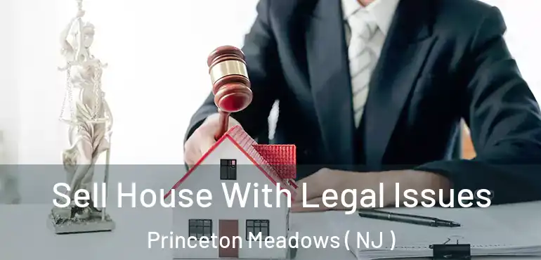  Sell House With Legal Issues Princeton Meadows ( NJ )