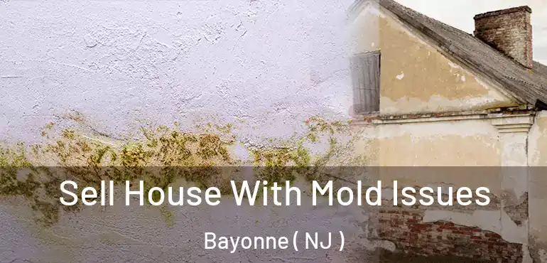  Sell House With Mold Issues Bayonne ( NJ )