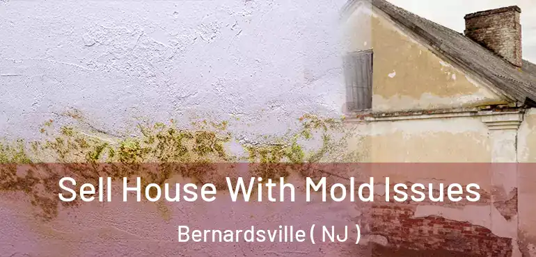  Sell House With Mold Issues Bernardsville ( NJ )