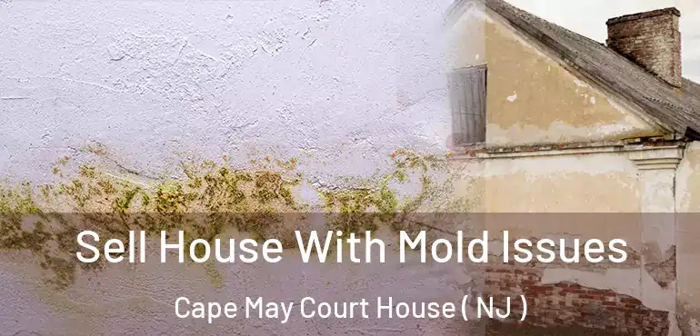  Sell House With Mold Issues Cape May Court House ( NJ )
