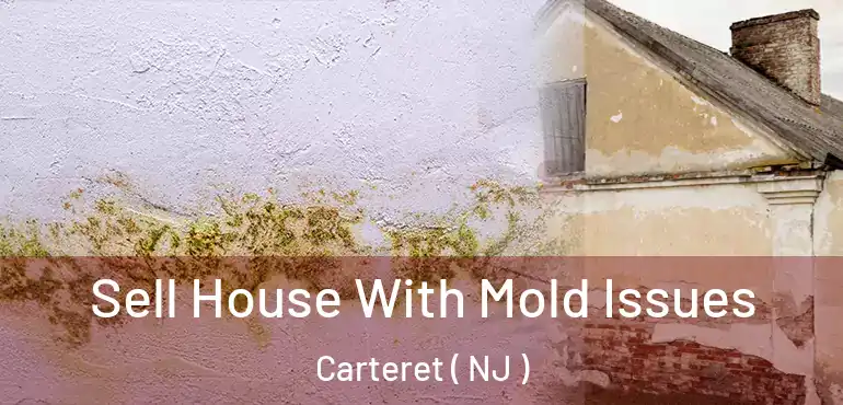  Sell House With Mold Issues Carteret ( NJ )