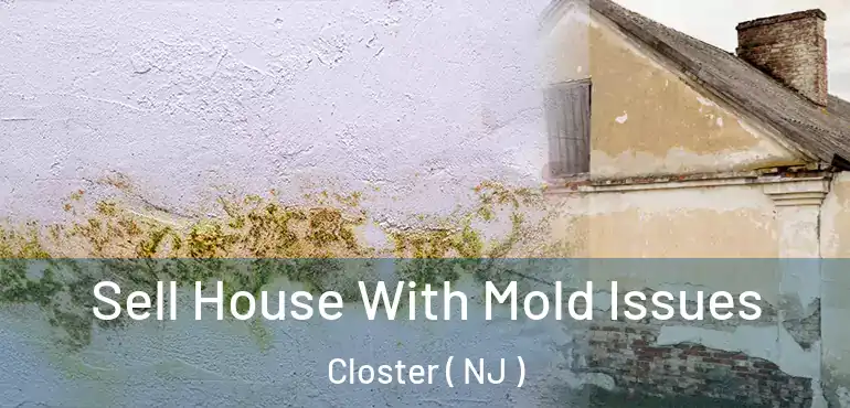  Sell House With Mold Issues Closter ( NJ )