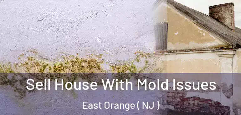  Sell House With Mold Issues East Orange ( NJ )