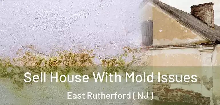  Sell House With Mold Issues East Rutherford ( NJ )