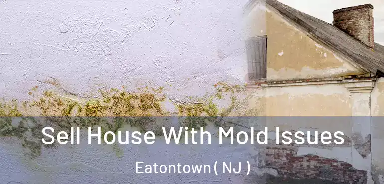  Sell House With Mold Issues Eatontown ( NJ )