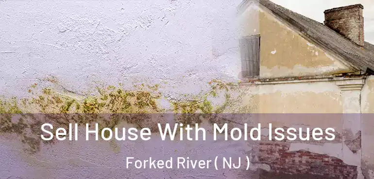  Sell House With Mold Issues Forked River ( NJ )