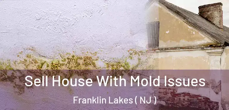  Sell House With Mold Issues Franklin Lakes ( NJ )