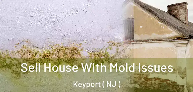  Sell House With Mold Issues Keyport ( NJ )