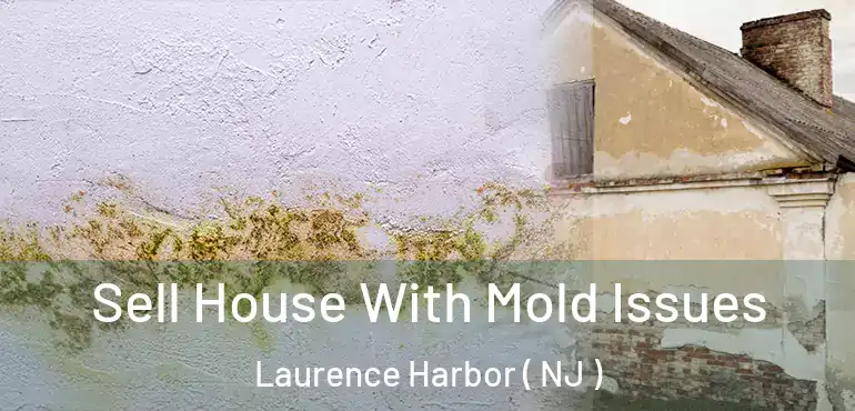  Sell House With Mold Issues Laurence Harbor ( NJ )