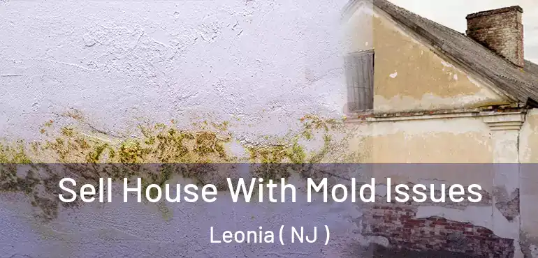  Sell House With Mold Issues Leonia ( NJ )