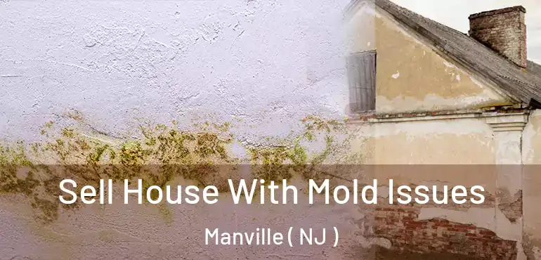 Sell House With Mold Issues Manville ( NJ )