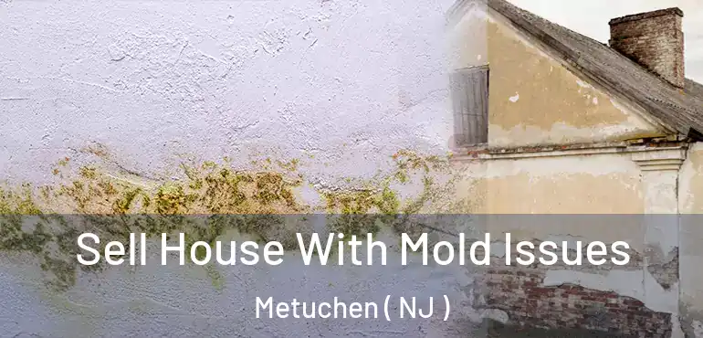  Sell House With Mold Issues Metuchen ( NJ )