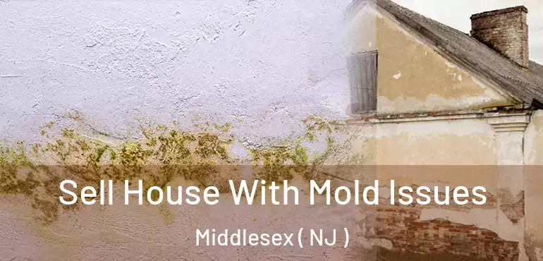  Sell House With Mold Issues Middlesex ( NJ )