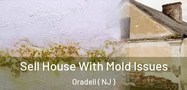  Sell House With Mold Issues Oradell ( NJ )