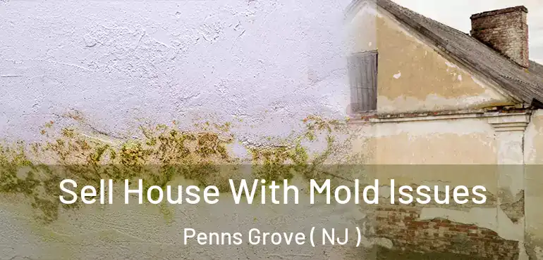  Sell House With Mold Issues Penns Grove ( NJ )